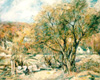 tntrees2.JPG (13307 bytes)